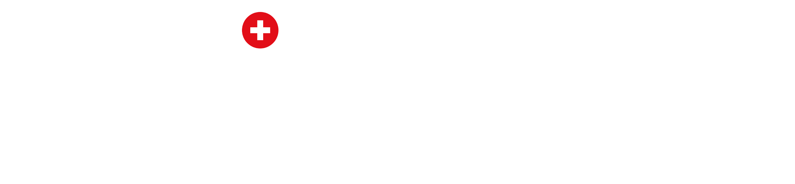 SwissAccs